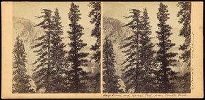 Half Dome and Vernal Fall from South Fork by Carleton E. Watkins